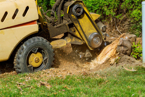 Eagle Point, AL Tree Service Company